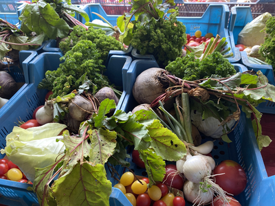 Des paniers de légumes en circuit court, ça vous dit ?